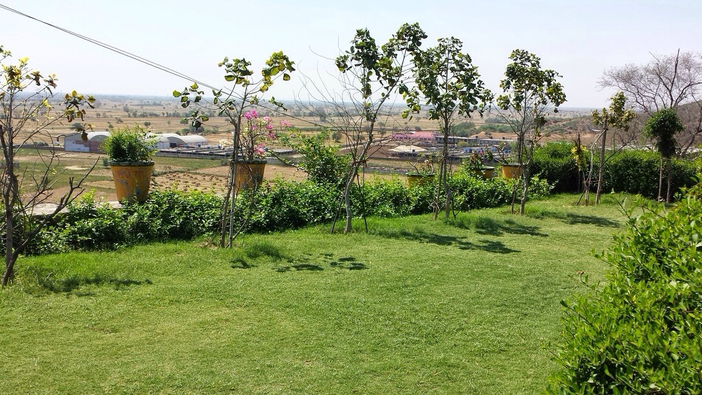 Plantation Drive At Maan Mandir